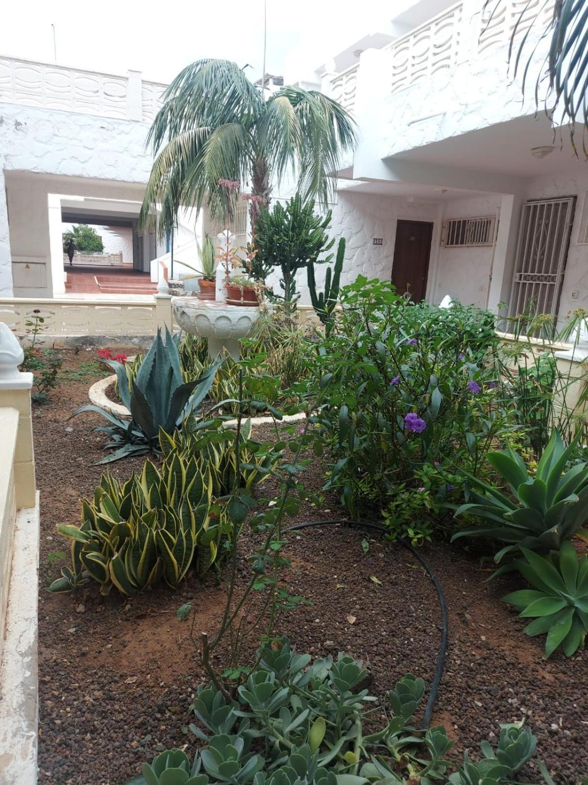 Appartement Casa Papagayo à Arona  Extérieur photo
